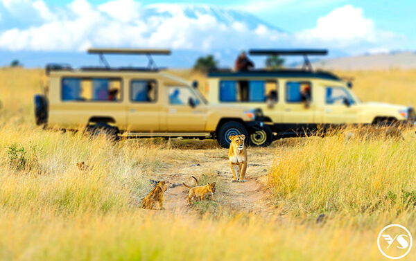 夢想啟航～肯亞 維多利亞瀑布 三國 遊獵經典11天(KQ) 